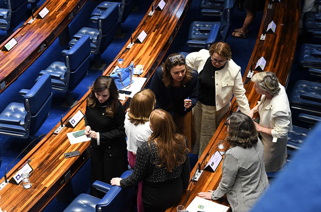 Bancada Feminina expande atuação e colhe vitórias em 2024