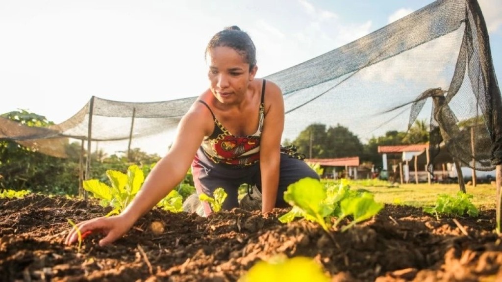 Governo do Piauí vai investir R$ 250 milhões na agricultura familiar