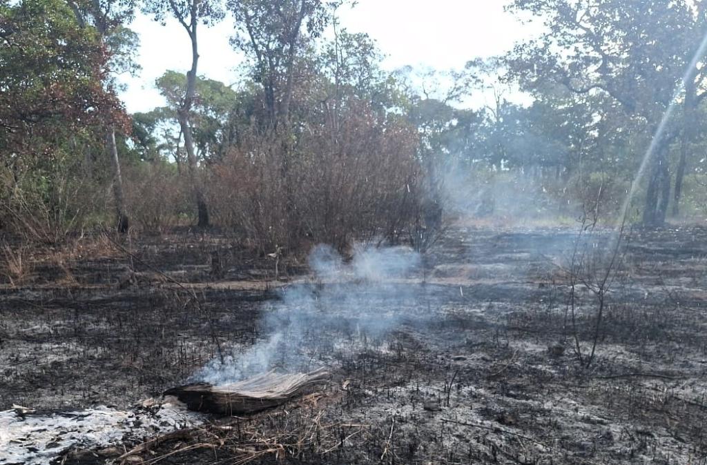 Sema participa de discussões para criação de Índice de Qualidade da Água específico para Amazônia
