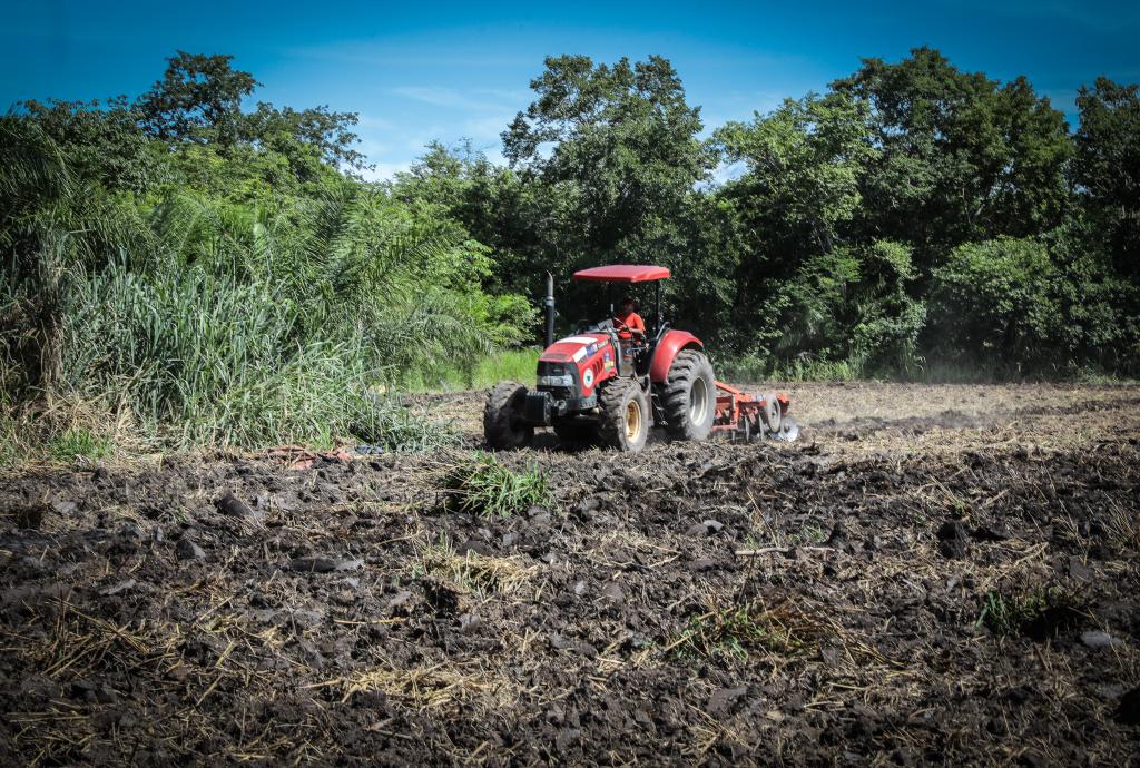 Governo fortalece pequenos agricultores e incentiva produção no campo