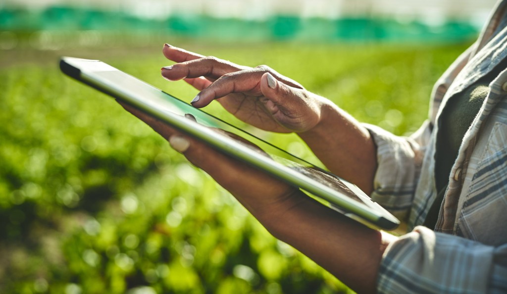 Crédito atinge R$ 298,6 bilhões e agro cobra mais previsibilidade e recursos