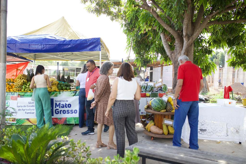 Seaf e Empaer reabrem feira que aproxima campo e cidade com produtos de qualidade