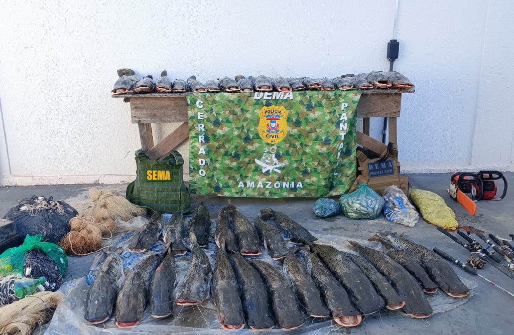 Sema e Dema apreendem 235 quilos de pescado em Barão de Melgaço após denúncia