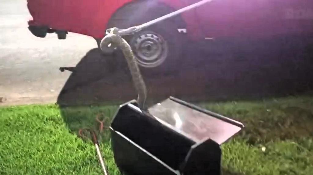 Corpo de Bombeiros realiza resgate de pitbull em telhado e devolve cascavel à natureza