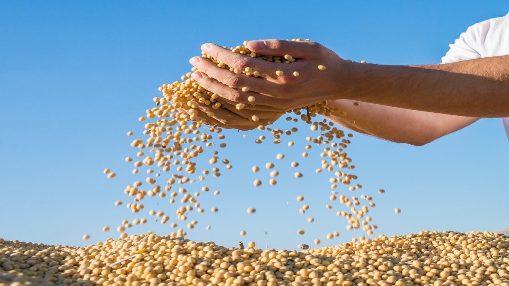 Estoques finais da safra norte-americana foram revisados para 295 milhões de bushels