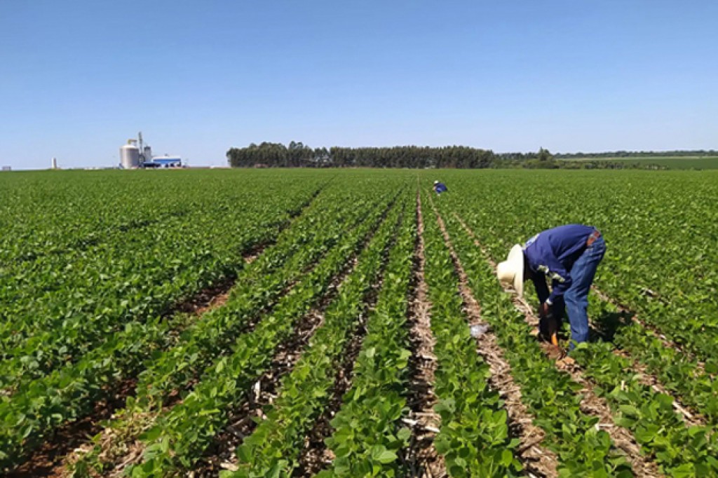 Produtores rurais recebem R$ 99,4 milhões em créditos