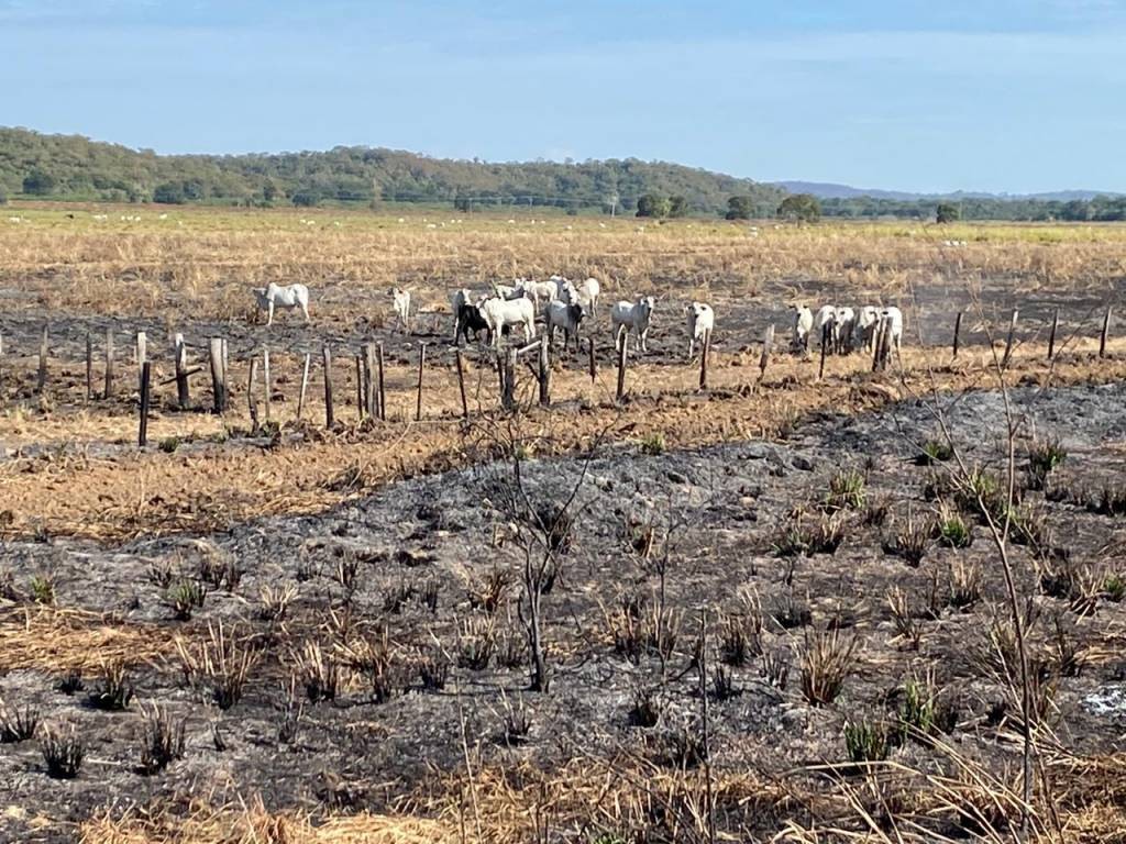 Proibição do uso do fogo no Pantanal vai até dezembro