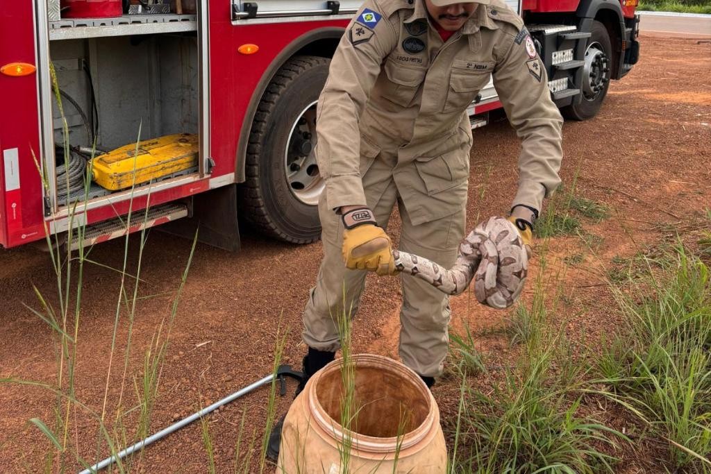 Corpo de Bombeiros resgata serpente que estava dentro de máquina de lavar roupa
